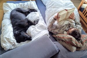 Eine Halterin liegt entspannt im Bett und liest ihrem ruhig neben ihr liegenden Hund zur gemeinsamen Ko-Regulation vor.